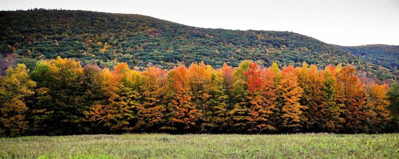 swingers in the ma berkshires